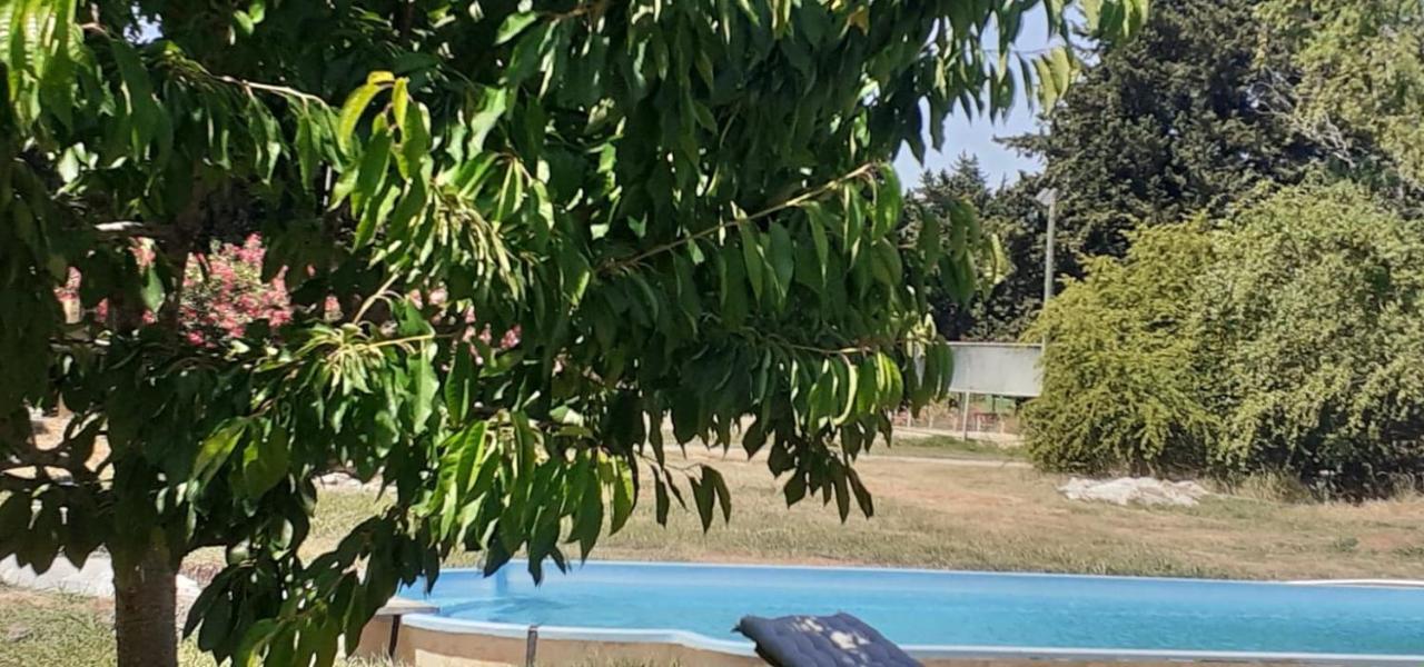 Вілла Le Petit Mas En Provence Avec Piscine Barbentane Екстер'єр фото
